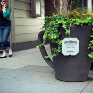 chậu cây xi măng tạo hình