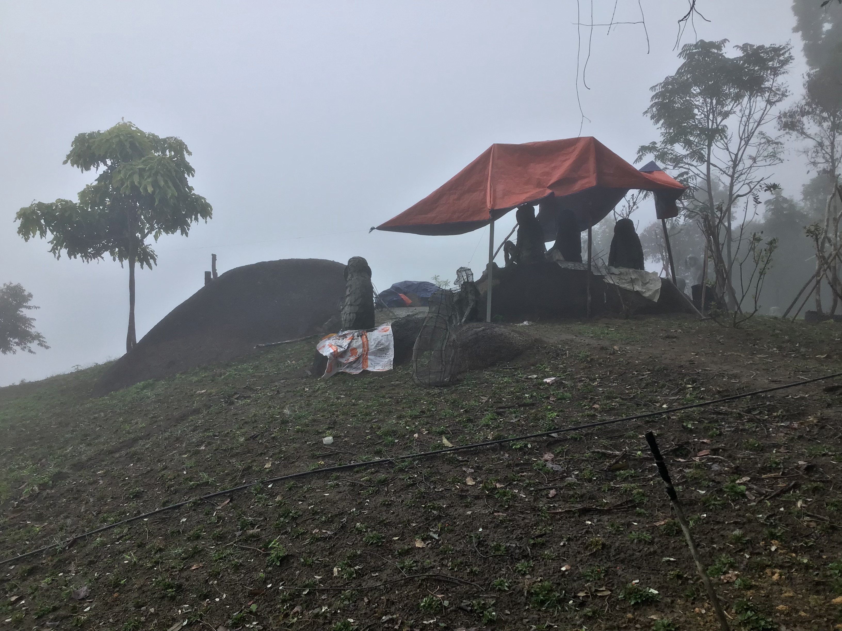 dự án tượng vooc tại quảng nam