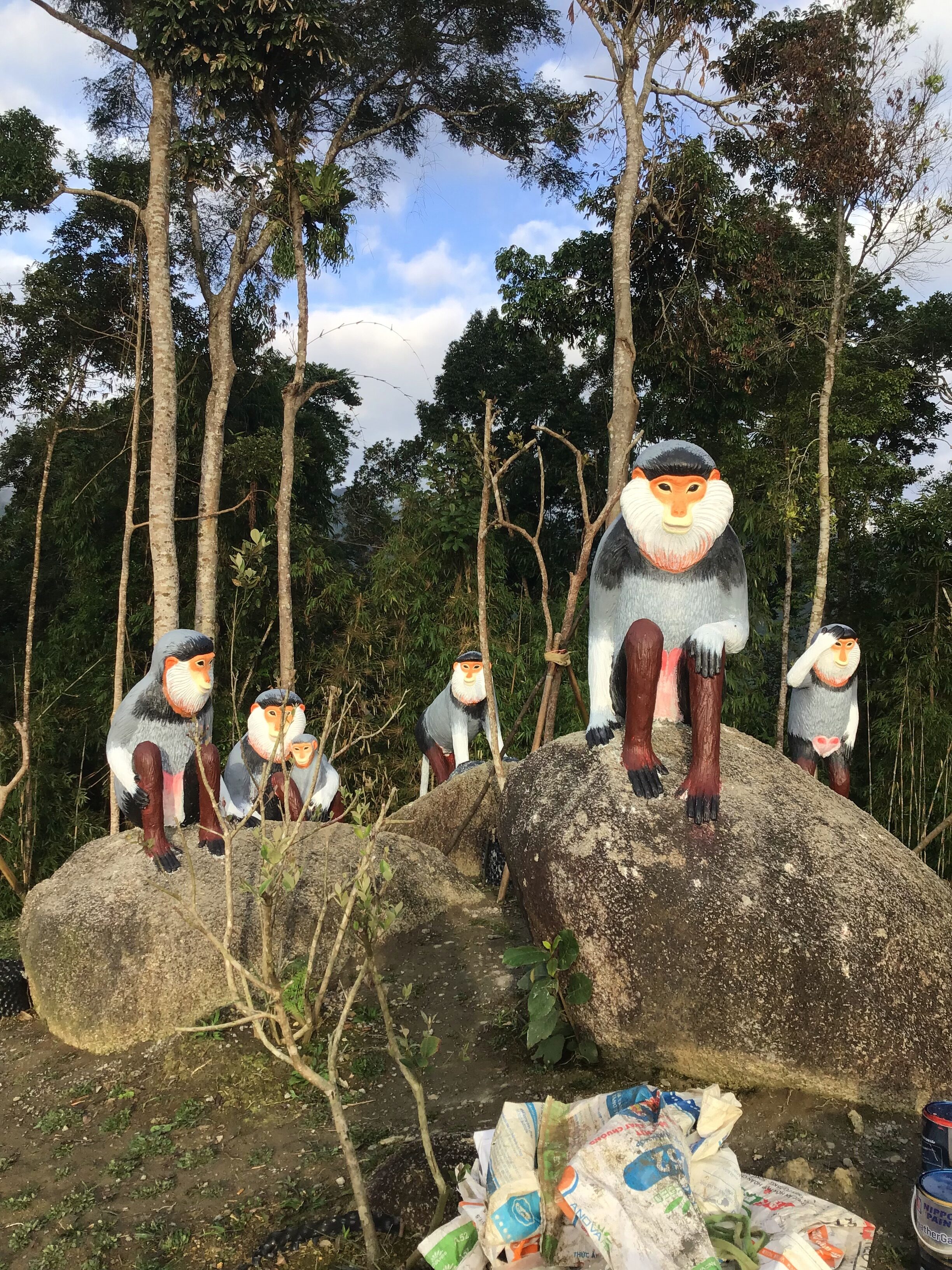 dự án tượng vooc tại quảng nam