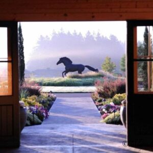 Bức tượng ngựa xi măng