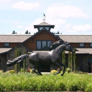 Bức tượng ngựa xi măng