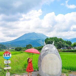 tượng totoro xi măng